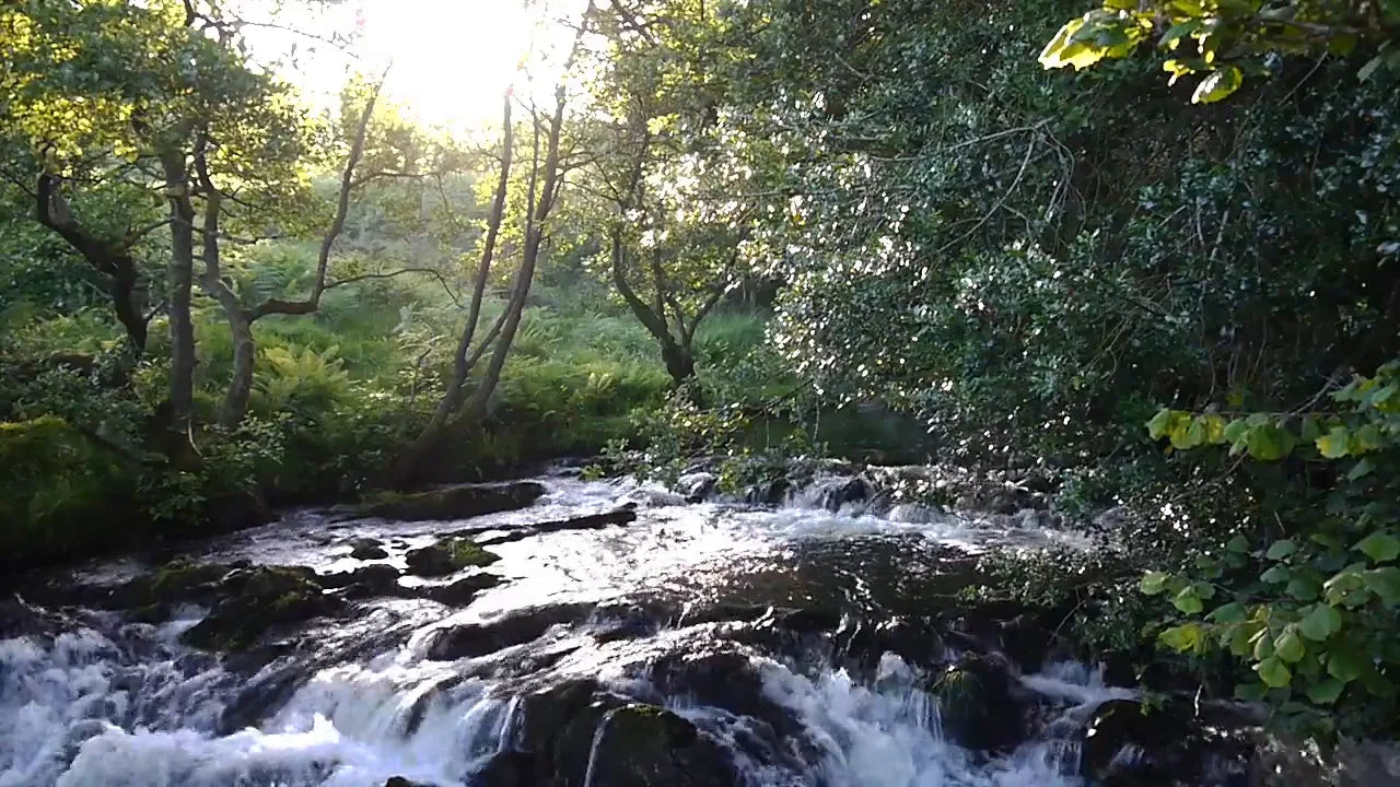 Load video: This short estate video shows the river and waterfalls through the estate.