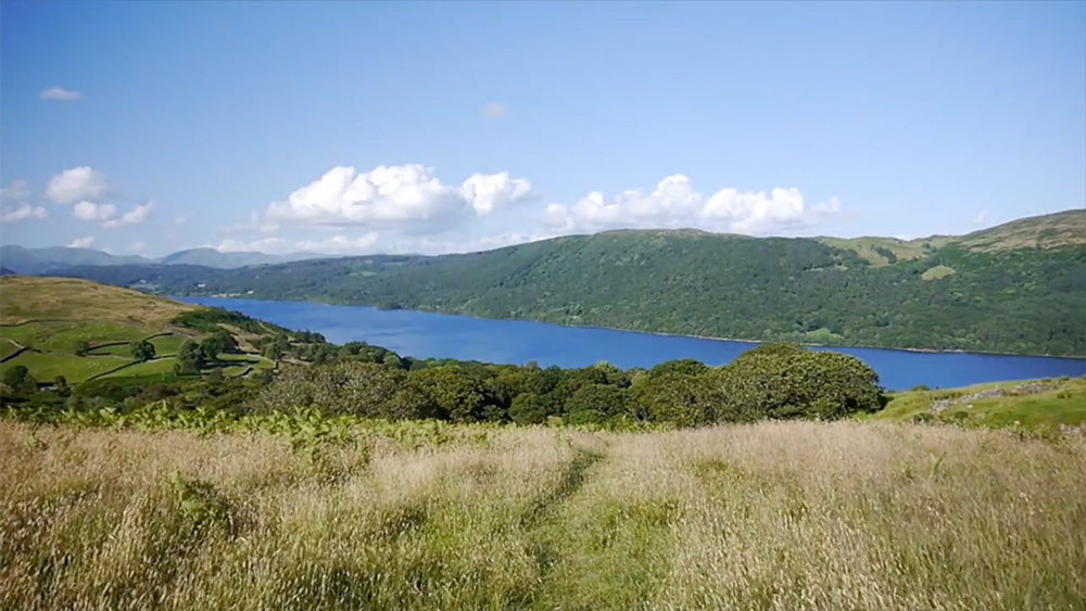 Load video: This short estate video shows some of the walking paths within the estate.
